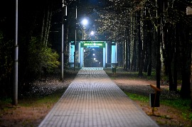 10.JPG