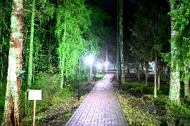 6.JPG