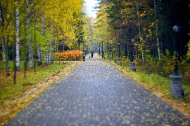 Дорожка с автобусной остановки