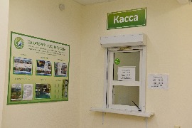 Касса